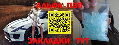 СК Бийск