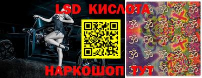 СК Бийск