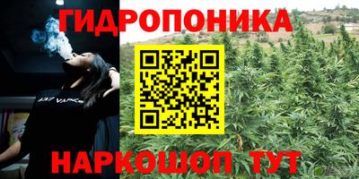 прущие грибы Берёзовский
