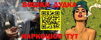 СК Бийск