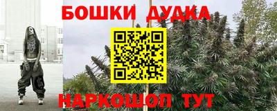 СК Бийск