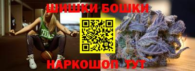 СК Бийск