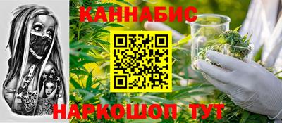 СК Бийск