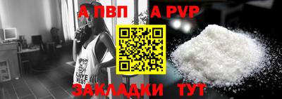 СК Бийск